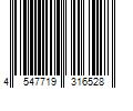 Barcode Image for UPC code 4547719316528. Product Name: SASAKI Rhythmic Gymnastics Half Shoes Beige (BE) S3 (20.0-20.5cm) 147