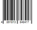 Barcode Image for UPC code 4891813848417. Product Name: SILVERLIT ROBOTS SILVERLIT STU