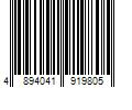 Barcode Image for UPC code 4894041919805