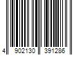 Barcode Image for UPC code 4902130391286