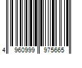 Barcode Image for UPC code 4960999975665