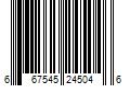 Barcode Image for UPC code 667545245046