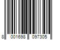 Barcode Image for UPC code 8001698097305. Product Name: Gymnic Heavy Med 3 Exercise Training Bal